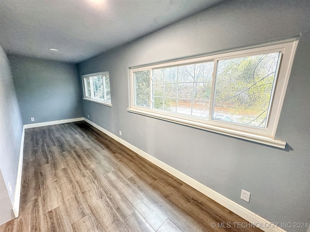 empty room with hardwood / wood-style floors and plenty of natural light