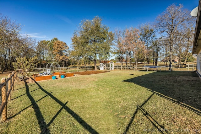 view of yard featuring a shed and a trampoline