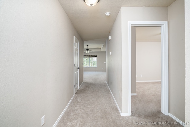 hallway with light colored carpet