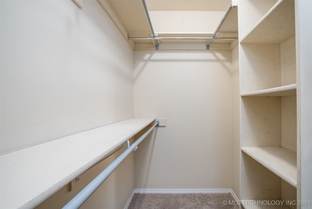 spacious closet with carpet