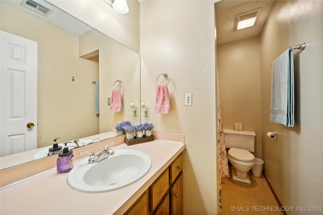 bathroom with toilet and vanity