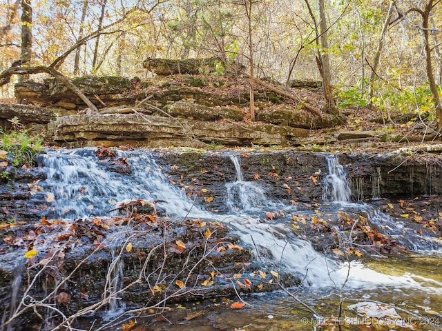 view of local wilderness