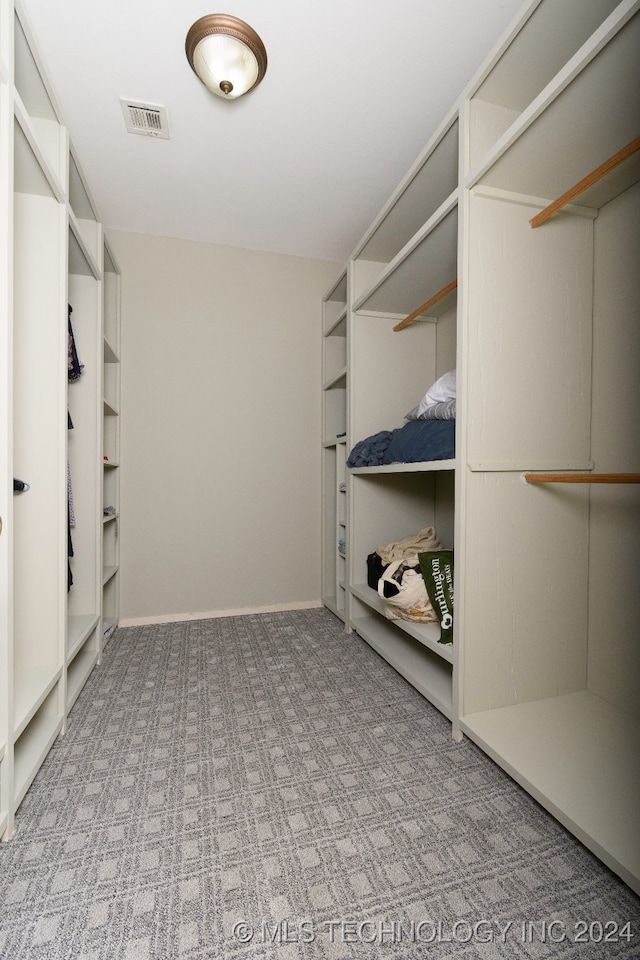 spacious closet with carpet flooring