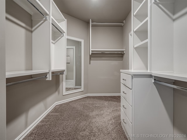 walk in closet featuring carpet