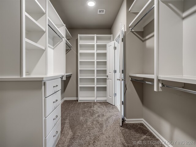 spacious closet with dark colored carpet