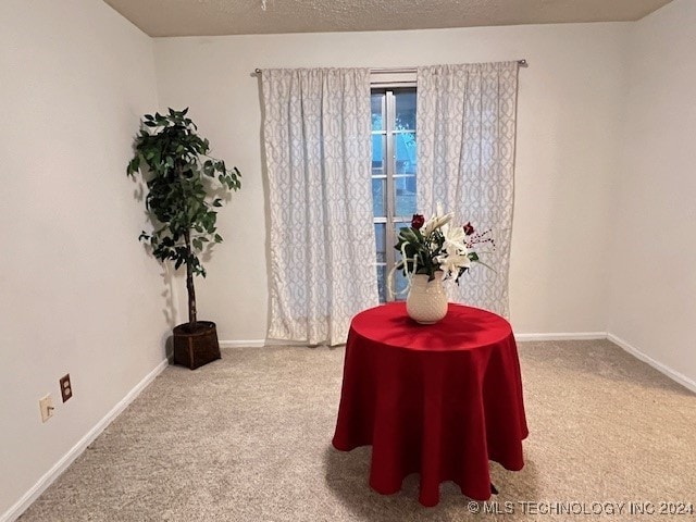 interior space with carpet floors and a textured ceiling