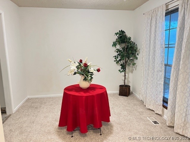 sitting room with carpet flooring and a textured ceiling