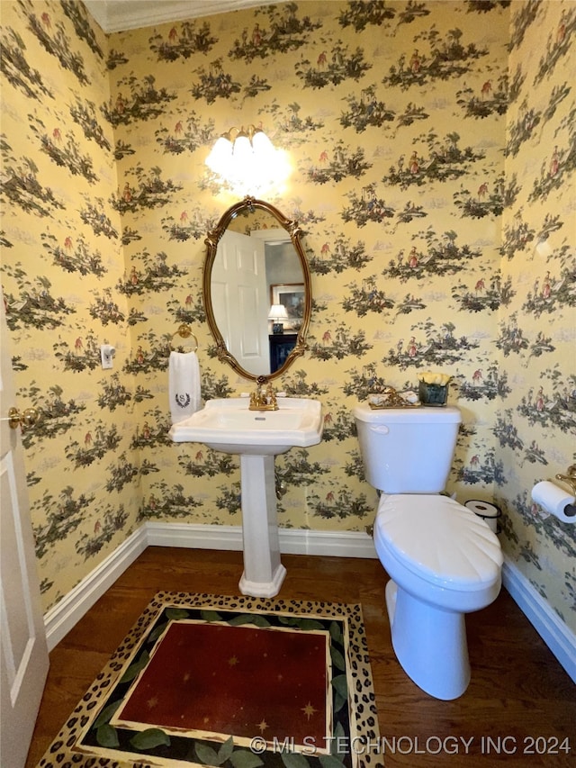 bathroom with toilet and wood-type flooring