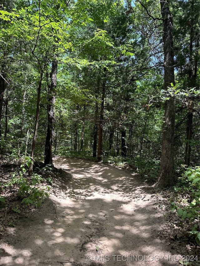 view of local wilderness