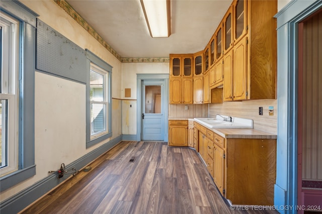 kitchen featuring decorative backsplash, dark wood-type flooring, and sink