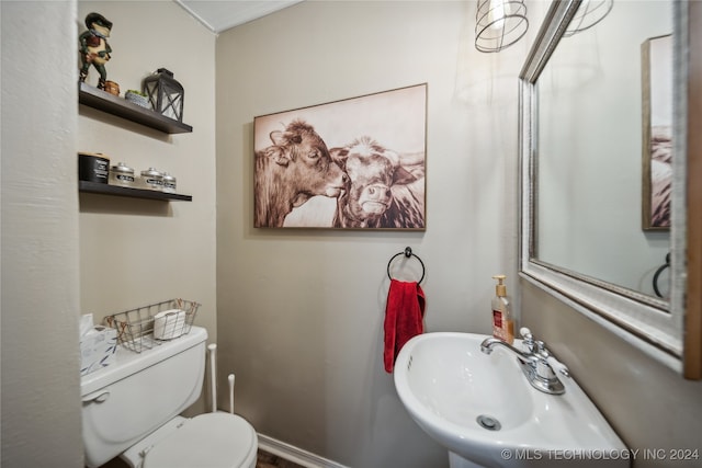 bathroom with sink and toilet