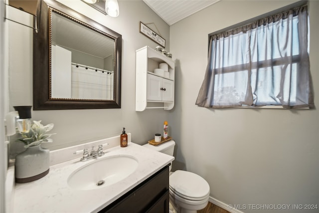 bathroom featuring a wealth of natural light, vanity, and toilet