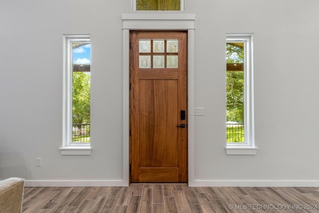 entryway with hardwood / wood-style floors