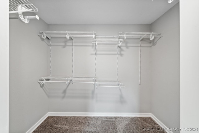 spacious closet with carpet