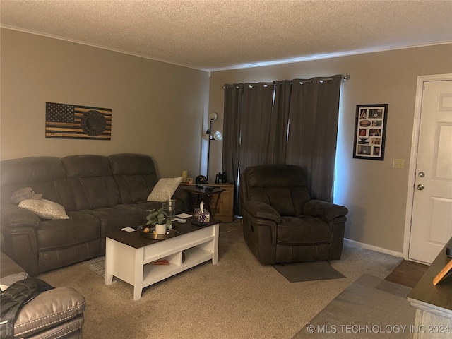 living room featuring carpet and a textured ceiling