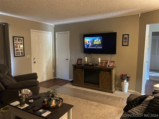 living room with hardwood / wood-style flooring and a textured ceiling