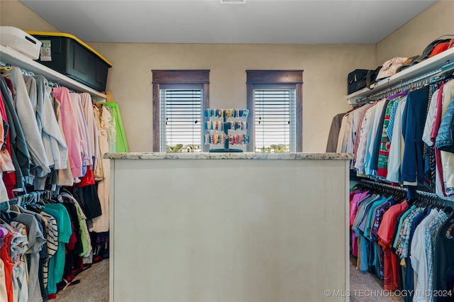 spacious closet featuring carpet floors