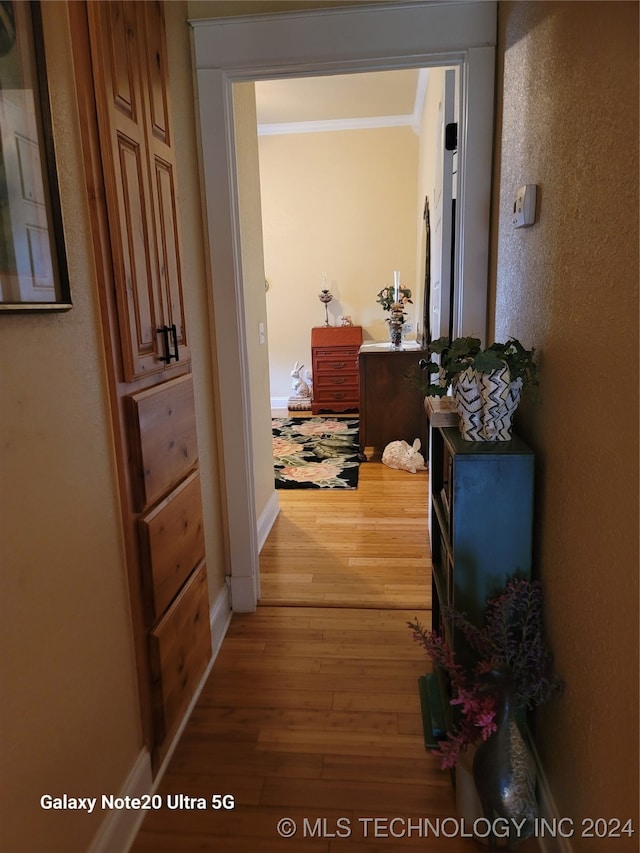 hall with wood-type flooring and ornamental molding