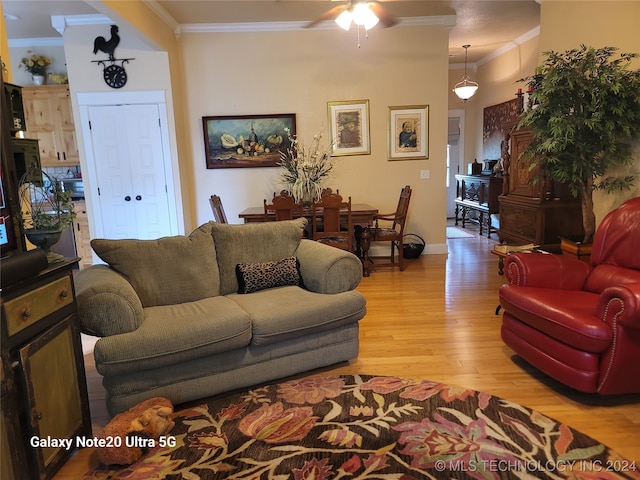 living room with ceiling fan, ornamental molding, and light hardwood / wood-style flooring