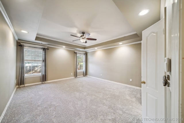 empty room with crown molding, carpet floors, and a raised ceiling