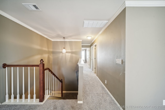 stairs with carpet floors and crown molding