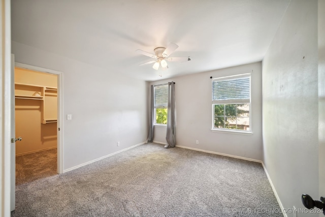 unfurnished bedroom with ceiling fan, carpet flooring, a closet, and a walk in closet