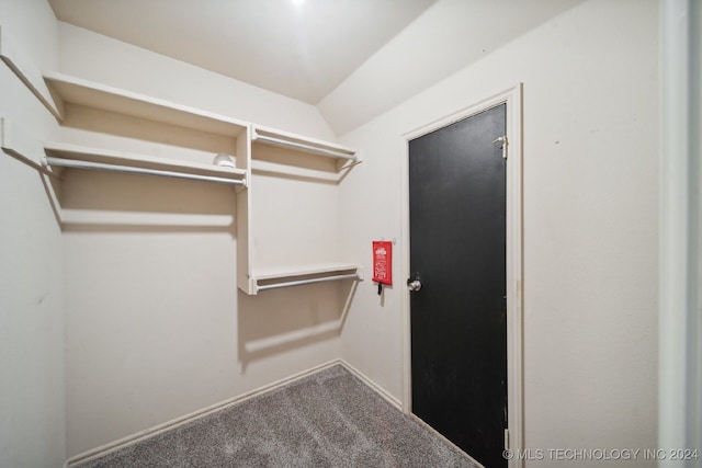 spacious closet with carpet