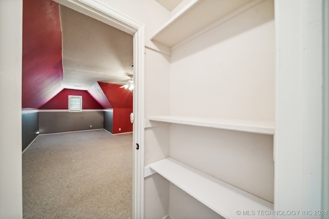 walk in closet with carpet floors, lofted ceiling, and ceiling fan