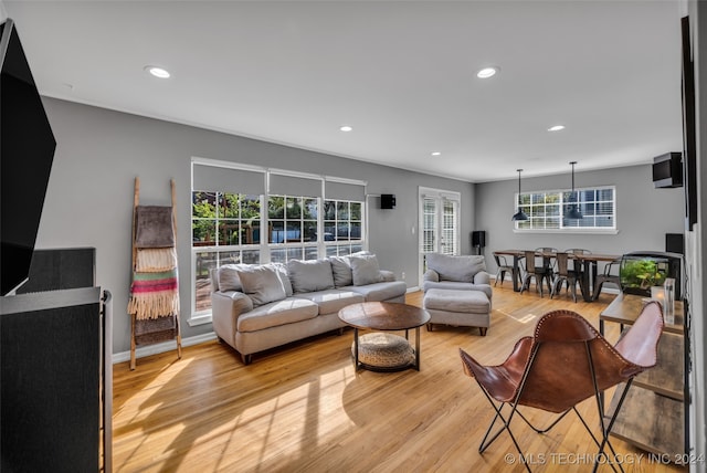 living room with light hardwood / wood-style floors