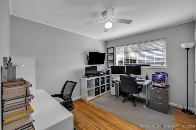 office area featuring ceiling fan, light hardwood / wood-style flooring, and ornamental molding