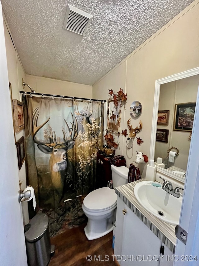 bathroom featuring toilet, vanity, a textured ceiling, and hardwood / wood-style flooring