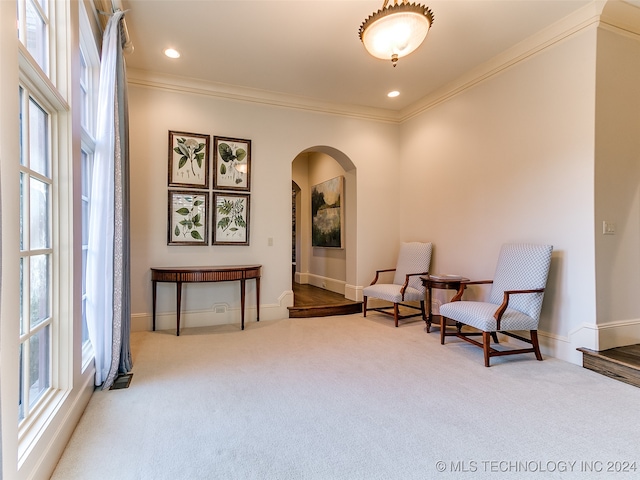 sitting room with crown molding, carpet flooring, baseboards, and arched walkways