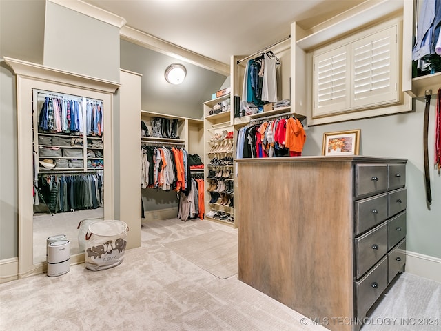 spacious closet with carpet