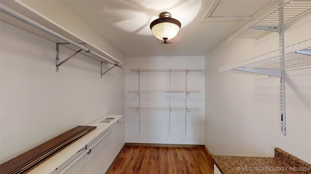 spacious closet featuring hardwood / wood-style flooring