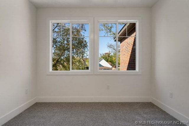 empty room with plenty of natural light and carpet