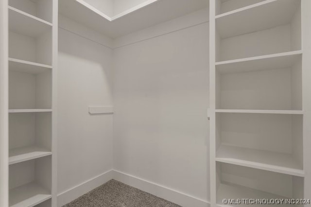 walk in closet featuring carpet