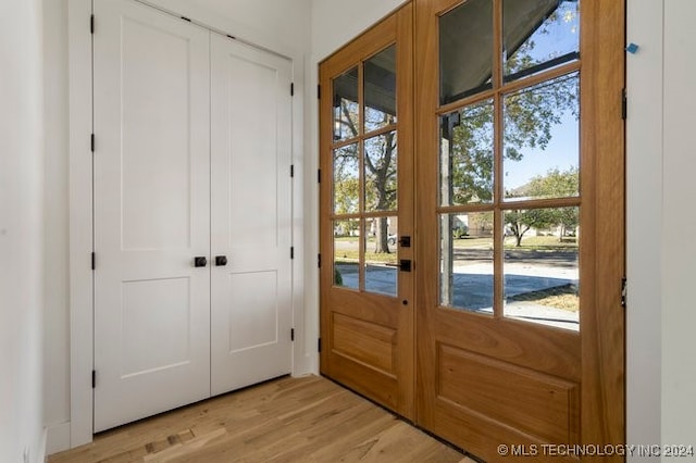 entryway with a wealth of natural light and light hardwood / wood-style flooring