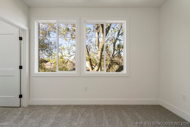 carpeted spare room featuring a wealth of natural light