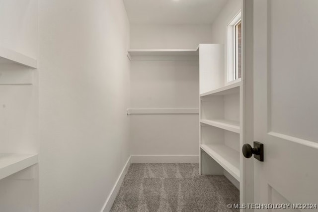 spacious closet with light colored carpet