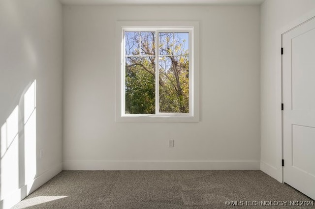 spare room featuring carpet flooring