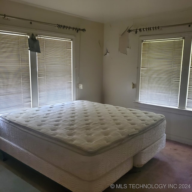 bedroom with carpet floors