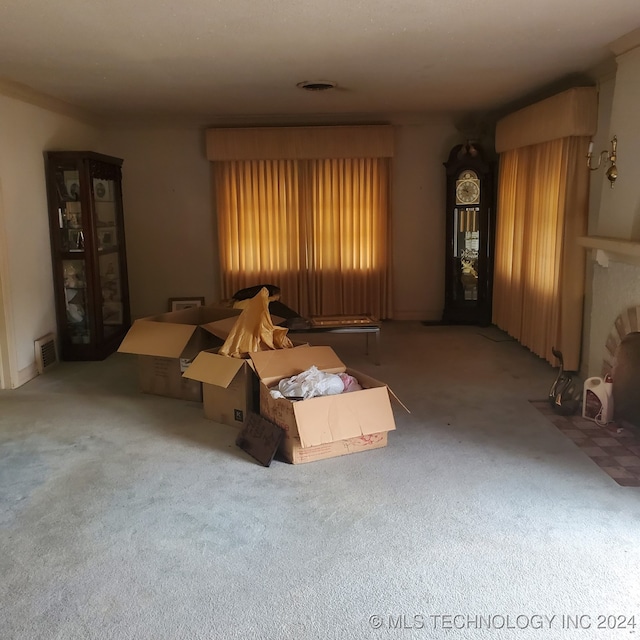 unfurnished living room with carpet flooring