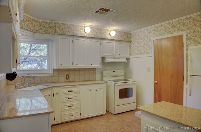 kitchen featuring crown molding, a textured ceiling, white appliances, and sink