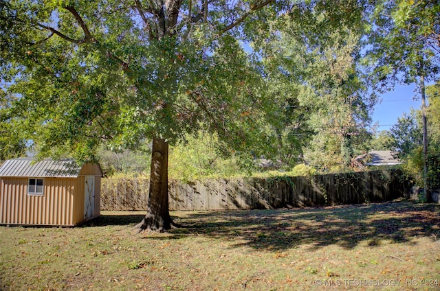 view of yard with a storage shed