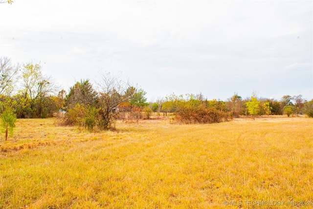 view of yard featuring a rural view