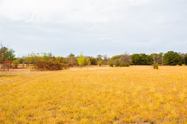 view of yard with a rural view