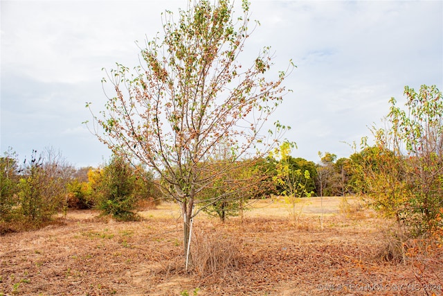 view of nature