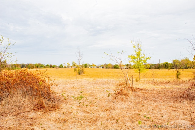 view of local wilderness featuring a rural view