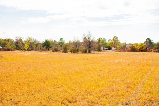 view of yard featuring a rural view