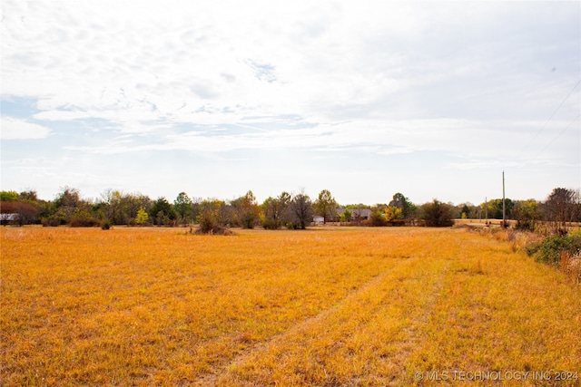 view of yard featuring a rural view